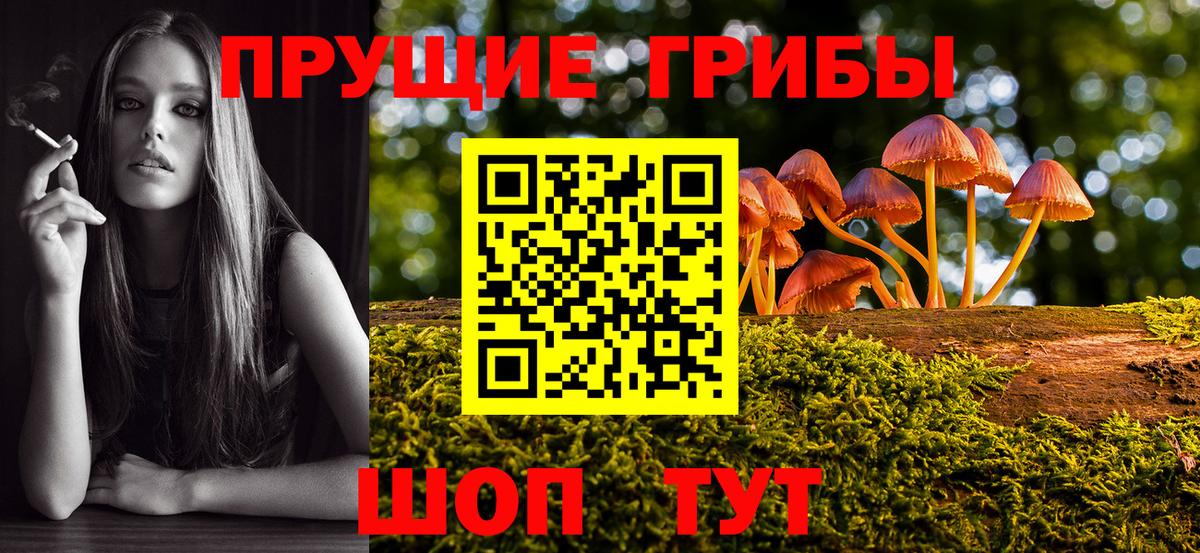 Галлюциногенные грибы прущие грибы  Вход с VPN  Добрянка 