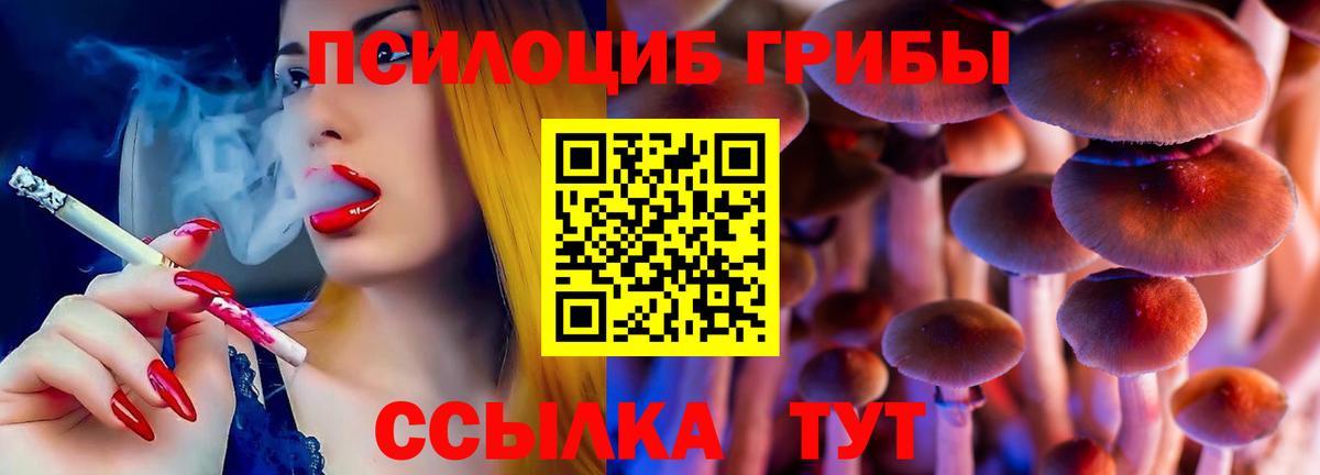 Псилоцибиновые грибы прущие грибы Добрянка